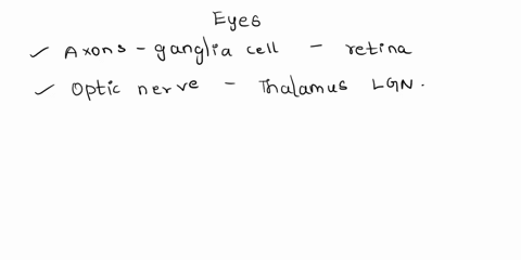 visual-information-from-the-eyes-by-travel-from-the-__________-to-the-optic-tracts-a-abducens-nerve-b-optic-nerve-c-ocular-nerve-d-oculomotor-nerve-e-trochlear-nerve-66837