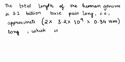 how-big-is-the-human-genome-55438
