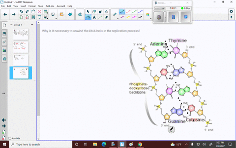 why-is-it-necessary-to-unwind-the-dna-helix-in-the-replication-process-3-22517