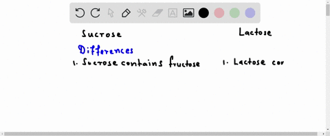 name-two-differences-between-sucrose-and-lactose-name-two-similarities-70741