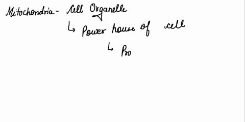 in-what-type-of-cells-would-you-expect-to-find-a-lot-of-mitochondria-36753