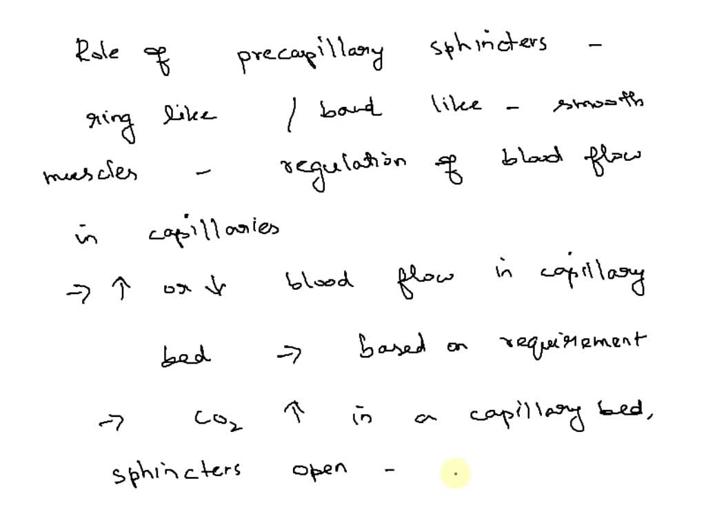 Solved: What Is The Primary Function Of Pre-capillary Sphincters In The 