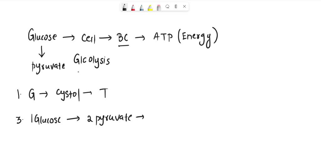 SOLVED [Questions 4649] In glycolysis, 3phosphoglycerate is converted into 2phosphoglycerate