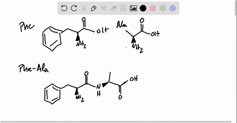 draw-the-structure-for-each-peptide-a-phe-ala-b-gly-gin-c-lys-gly-d-mathrmr-mathrmh-2-31195