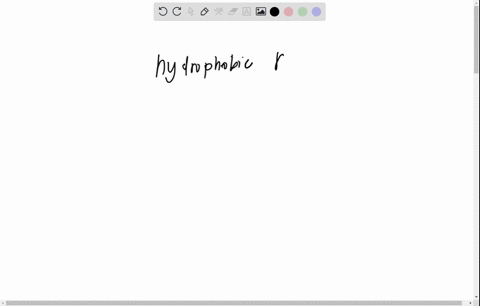 which-amino-acids-in-this-polypeptide-would-likely-contain-hydrophobic-r-groupsside-chains-n-terminus-c-terminus-the-amino-acids-adjacent-to-the-phospholipid-tails-the-amino-acids-in-the-aqu-19792