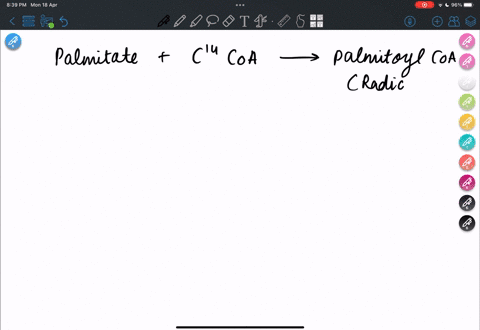 in-the-laboratory-unlabeled-coenzyme-a-and-radioactive-14c-palmitate-are-added-to-a-homogenate-of-liver-cells-which-you-can-assume-is-able-to-carry-out-all-the-reactions-of-cellular-metaboli-54824
