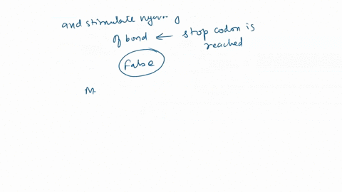 in-a-eukaryotic-mrna-after-the-stop-codon-is-reached-the-remaining-codons-will-be-translated-as-a-series-of-lysines-there-is-only-one-codon-for-methionine-some-amino-acids-have-six-different-34292