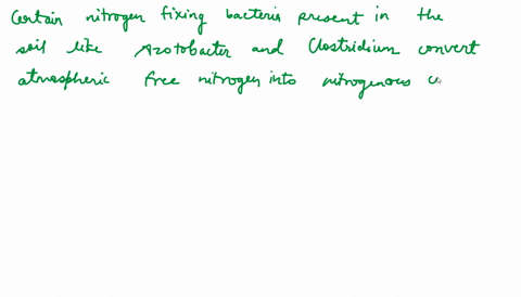 which-of-the-following-activities-of-soil-bacteria-does-not-contribute-to-creating-usable-nitrogen-s-73362