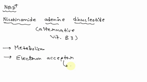 the-reduction-of-nad-produces-a-acetyl-coa-b-pyruvate-c-nadh-d-oxygen-gas-20495