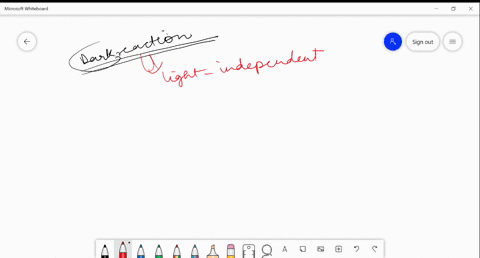 why-are-the-reactions-of-the-calvin-cycle-sometimes-referred-to-as-the-dark-reactions-do-they-take-p-94446