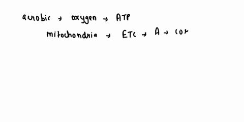 which-most-accurately-describes-the-difference-in-atp-production-between-aerobic-respiration-and-anaerobic-respiration-a-aerobic-respiration-produces-more-atp-than-anaerobic-respiration-b-an-09082