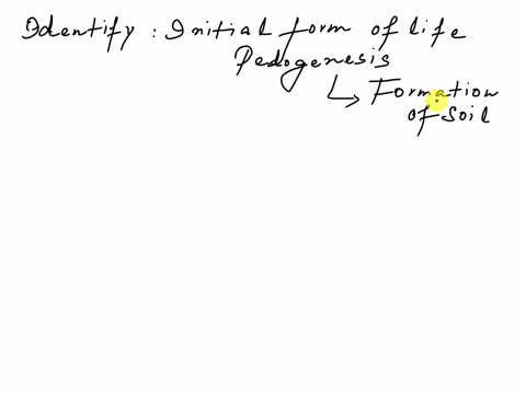 what-is-the-most-important-life-form-during-the-beginning-of-pedogenesis-a-grasses-and-ferns-b-earthworms-and-ants-c-shrubs-and-trees-d-lichens-58188