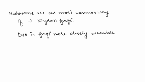 which-of-the-following-events-occur-during-eukaryotic-translation-initiation-a-protein-recognizes-the-stop-codon-and-the-ribosome-dissociates-from-the-mrna-the-small-ribosomal-subunit-binds-74378