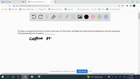 hp-sells-an-inexpensive-printer-for-an-entry-level-user-but-the-printer-cartridges-that-need-continual-replacement-are-fairly-expensive-this-demonstrates-the-concept-of-___________-72412
