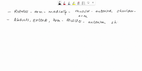 actions-of-muscles-of-anterior-shoulder-and-arm-match-the-action-with-the-muscles-of-the-anterior-shoulder-and-arm-rotates-arm-medially-abductsextendsand-flexes-the-arm-rotates-arm-laterally-72373