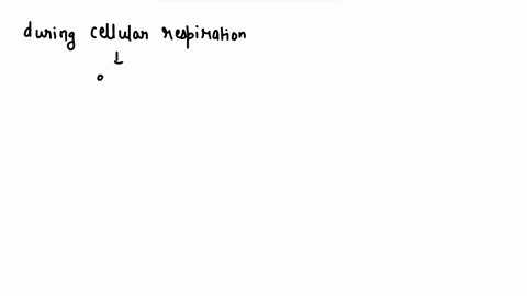 during-cellular-respiration-energy-is-stored-in-the-form-of-_______-oxygen-water-atp-food-80898