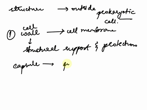 describe-the-structures-that-form-the-outside-of-a-prokaryotic-cell-07686