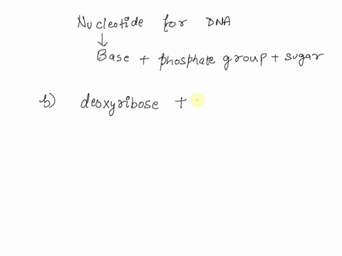 which-of-the-following-could-be-a-nucleotide-of-dna-a-deoxyribose-phosphate-group-thymine-b-deoxyribose-phosphate-group-uracil-c-ribose-phosphate-group-thymine-d-ribose-phosphate-group-uraci-70669