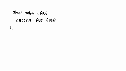 what-is-the-amino-acid-sequence-for-the-mrna-strand-cacccaugguga-32979