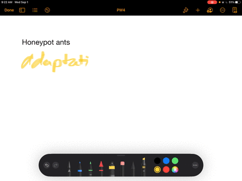 this-honeypot-ant-genus-mymecocystus-can-store-liquid-food-inside-its-expandable-abdomen-consider-other-ants-you-are-familiar-with-and-explain-how-a-honeypot-ant-exemplifies-three-key-features-of-life