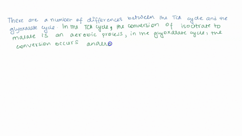 question-8-the-conversion-of-acetyl-coa-into-glucose-cannot-occur-in-the-citric-acid-cycle-and-contrasts-that-of-the-glyoxylate-cycle-this-is-because-in-the-tca-cycle-there-is-no-net-product-70931