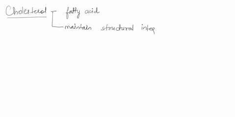 how-does-cholesterol-play-a-role-in-plasma-membranes-65893