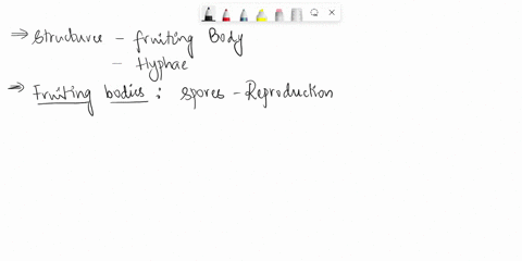 how-do-the-structures-of-the-fruiting-body-and-hyphae-relate-to-their-functions-83302