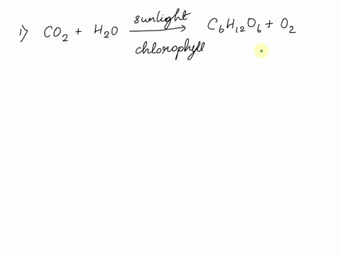 1-the-products-of-photosynthesis-are-multiple-choice-glucose-and-oxygen-water-and-carbon-dioxide-glucose-only-glucose-and-carbon-dioxide-water-and-oxygen-2-which-best-explains-the-role-of-pl-02132