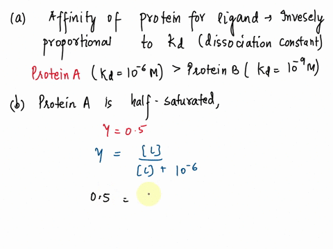 short-answer-questions-21-protein-a-bas-binding-site-for-ligand-l-with-kd-of-10-6-m-protein-b-has-binding-site-for-ligand-l-with-kd-of-10-9-m-which-protein-has-higher-affinity-for-ligand-l-e-18503