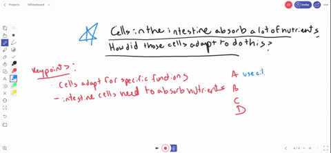 cells-lining-the-intestine-absorb-a-lot-of-nutrients-how-did-those-cells-adapt-to-their-function-a-cells-use-cilia-to-move-nutrients-to-their-surface-b-cells-grow-much-larger-than-adjacent-cells-to--3