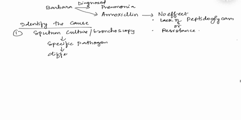 3-after-diagnosingbarbara-with-pneumoniathe-pa-writes-her-a-prescription-foramoxicillina-commonly-prescribed-type-of-penicillin-derivativemore-than-a-week-later-despite-takingthe-full-course-25376