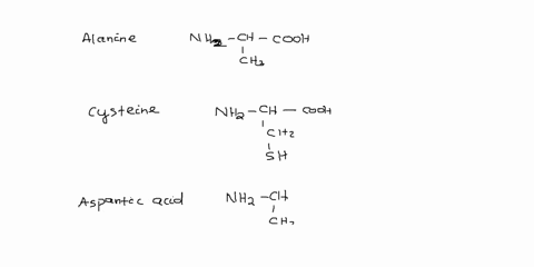 draw-the-structure-of-a-tripeptide-formed-by-combination-of-the-amino-acids-cysteine-alanine-and-aspartic-acid-70613