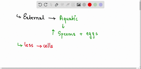 what-mechanisms-have-evolved-in-animals-with-a-external-fertilization-and-b-internal-fertilization-that-help-ensure-that-offspring-survive-to-adulthood-05077