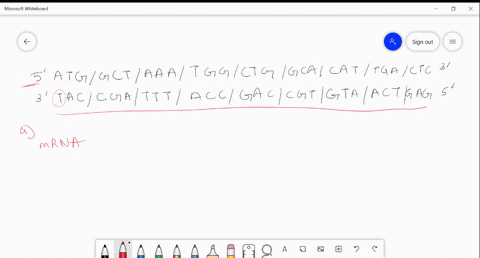 transcription-and-translation-the-following-segment-of-dna-codes-for-a-polypeptide-protein-section-a-use-the-bottom-strand-as-your-template-strand-of-dna-to-make-a-molecule-of-mrna-b-determi-28315