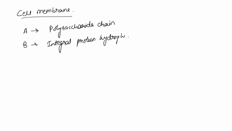 question-36-25-points-saved-the-diagram-shows-schematic-cell-membrane-in-cross-section-label-the-regions-in-the-diagram-by-entering-the-correct-term-from-the-following-list-lipid-bilayer-pol-12995