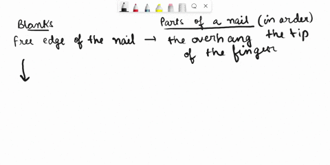 ecthtm-homework-assignment-i-saved-fill-in-the-sentence-with-the-appropriate-part-of-the-nail-then-place-the-structures-in-order-from-proximal-to-distal-drag-the-text-blocks-below-into-thelr-55643