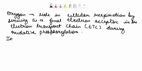 describe-the-role-of-oxygen-in-cellular-respiration-07795