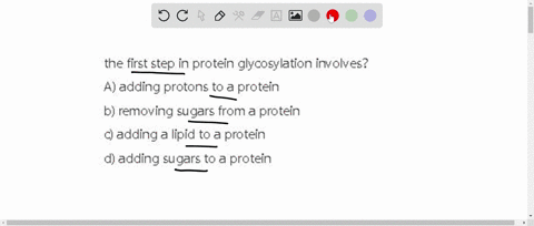 the-first-step-in-protein-glycosylation-involves-a-adding-protons-to-a-protein-b-removing-sugars-from-a-protein-c-adding-a-lipid-to-a-protein-d-adding-sugars-to-a-protein-74639