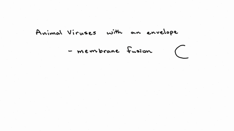 question-7-animal-viruses-that-have-an-envelope-will-penetrate-the-host-cell-by-membrane-fusion-receptor-mediated-endocytosis-budding-direct-injection-moving-to-another-question-will-save-this-respons