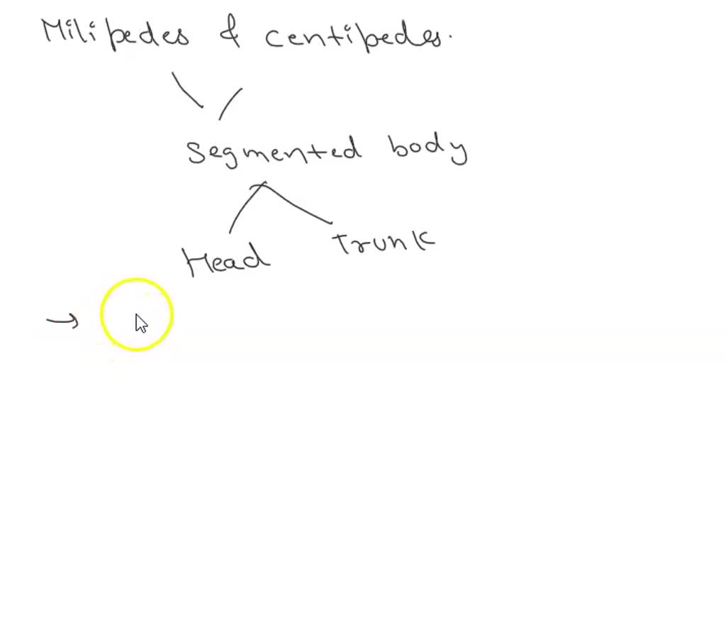 SOLVED The so called 'vinegar eel' is a free living Nematode that lives in vinegar. Examine