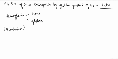 most-oxygen-985-molecules-are-transported-in-the-blood-bound-to-the-globin-portions-hemoglobin-molecules_-17595