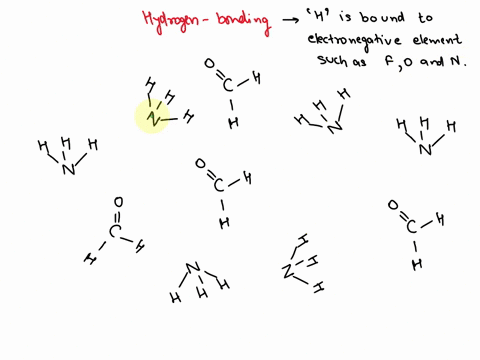 consider-the-folloting-uangenient-of-forldebyde-and-a1uiloqla-molrules_-on-lliee-drax-ing-indicale-ali-plausible-hydrogen-bonding-interactions-cgen-i-you-aft-unabl-str-uhage-click-here-seetc-16212