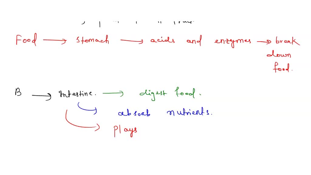 SOLVED: Question 8 Identify the function of each labeled structure What ...