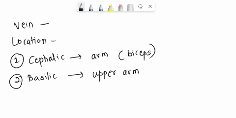 incorrect-question-29-which-vein-is-highlighted-cephalic-basilic-prachial-subclavian-86393