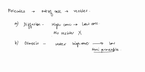 what-is-the-process-whereby-molecules-in-vesicles-are-exported-out-of-a-cell-a-diffusion-b-osmosis-c-endocytosis-d-exocytosis-98666