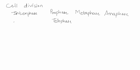 chromozoma-changes-during-ceil-cycle-dok-nen-metaphase-salect-iha-blte-jour-c-hro-osomes-how-woula-the-samt-thal-naz-just-started-interphase-box-nent-to-hc-conect-answet-xxxxxxx-xxxx-x-xx-x-51537