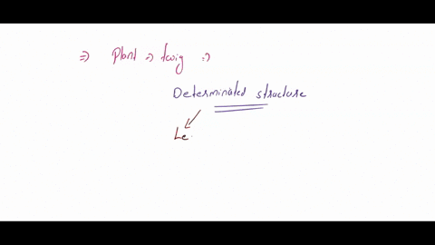 reproductive-shoot-ilower-apical-bud-node-internode-apical-bud-vegetative-shoot-leat-blade-petiole-axillary-bud-stem-taproot-7-lateral-_-branch-roots-shoot-system-root-system-which-parts-of-75998
