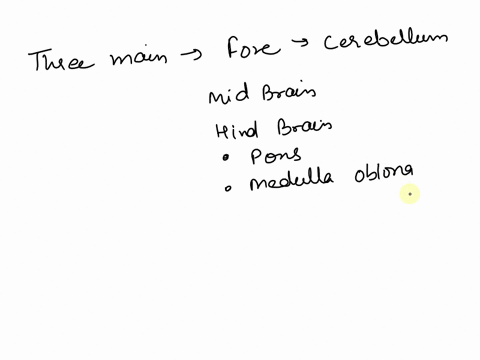 what-is-the-center-of-the-brain-that-is-responsible-for-breathing-15677