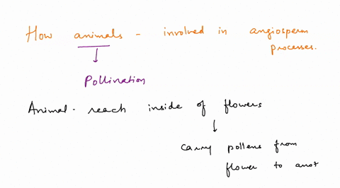 explain-how-animals-are-involved-in-the-following-angiosperm-processes-pollination-seed-dispersal-67598
