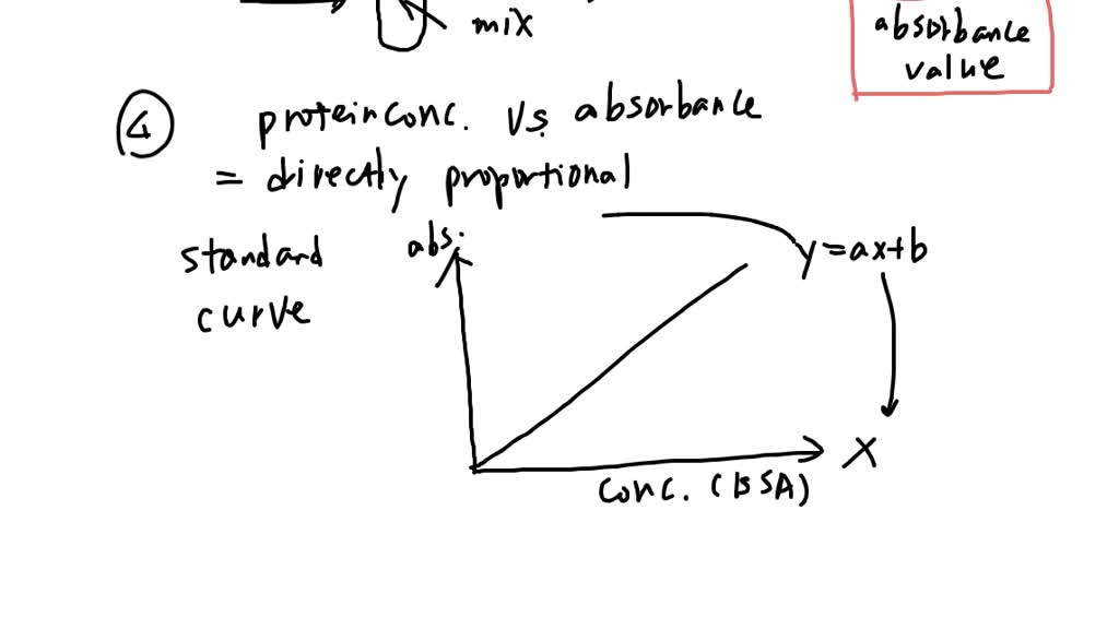 SOLVED 1. Explain the principle of Bradford assay! 2. What is BSA? 3. Explain the purpose of